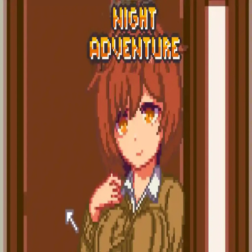 Night Adventure